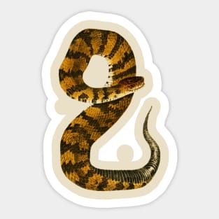 serpent,cobra,reptile,viper,venom,lizard,rattlesnake,king cobra,dragon,hydra,poison,venomous,plumber's snake,pythonidae,pythons,auger,python,squamata,serpentine,worm,big,ophidian,rattlesnakes,medusa,snakebite Sticker